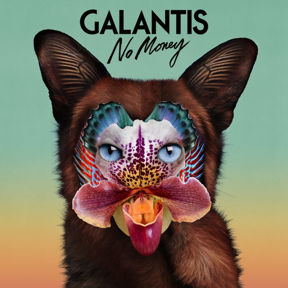 galantis no money galantis no money